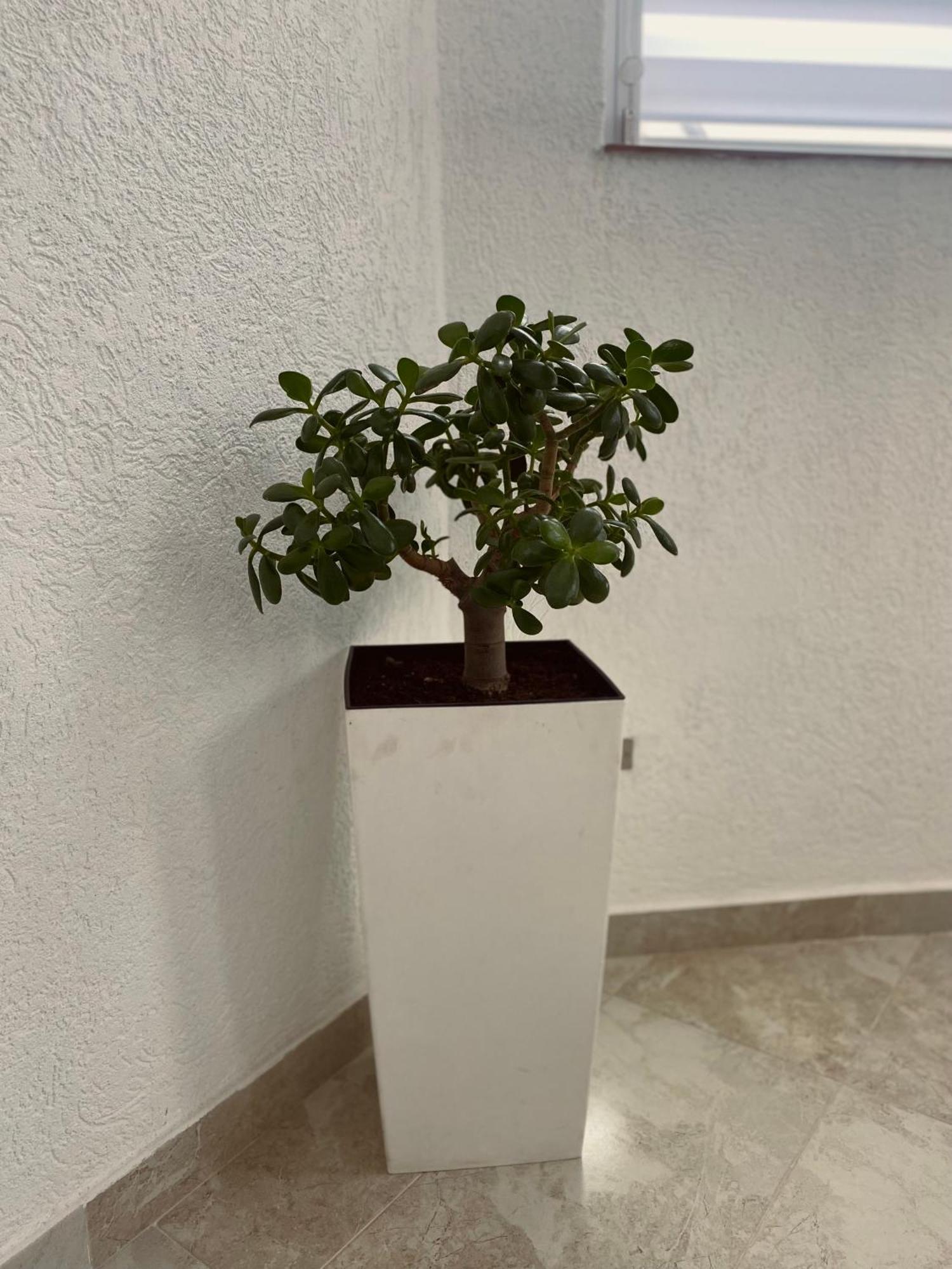 Greenhill Apartments Kumanowo Zewnętrze zdjęcie