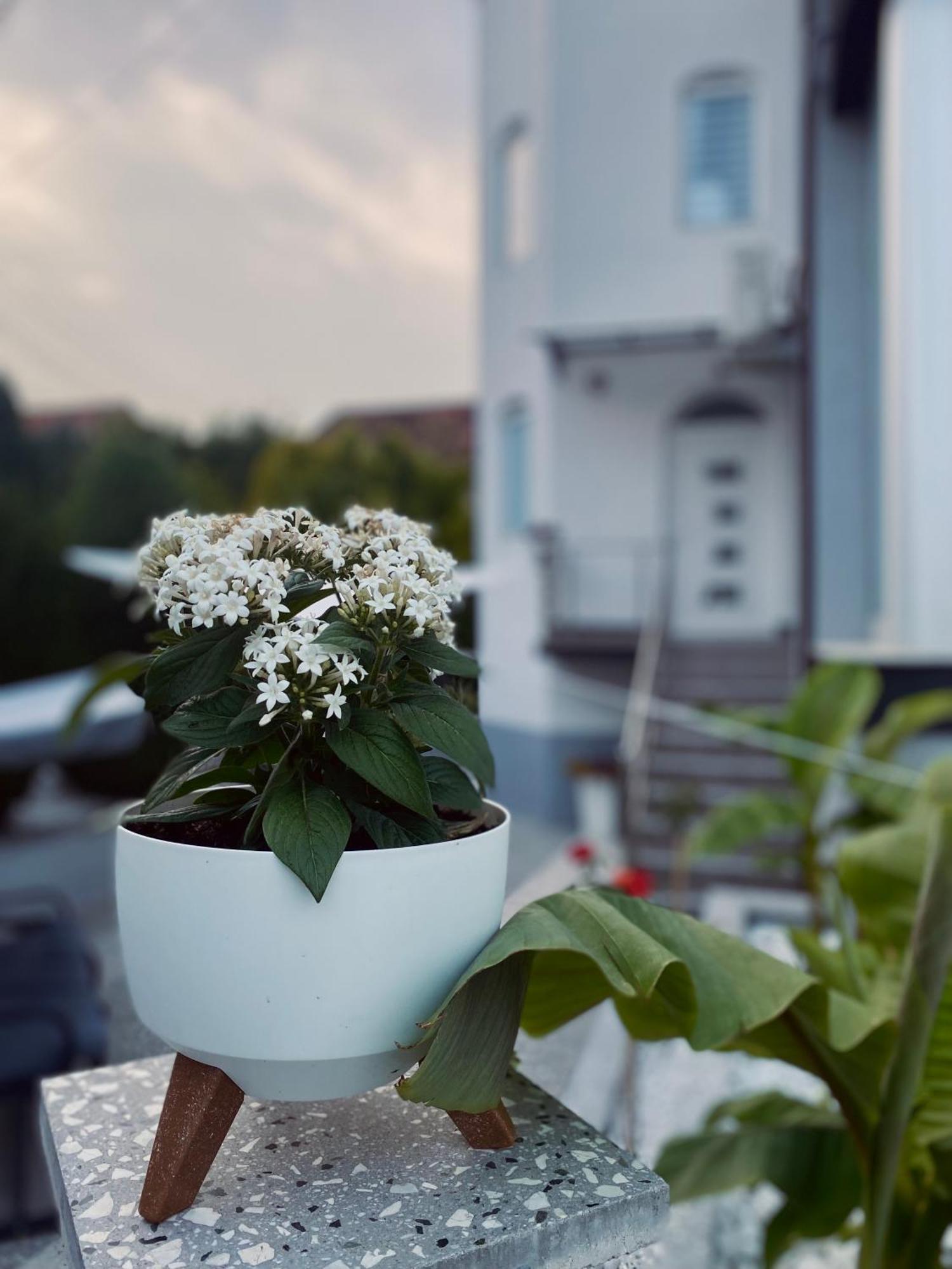 Greenhill Apartments Kumanowo Zewnętrze zdjęcie